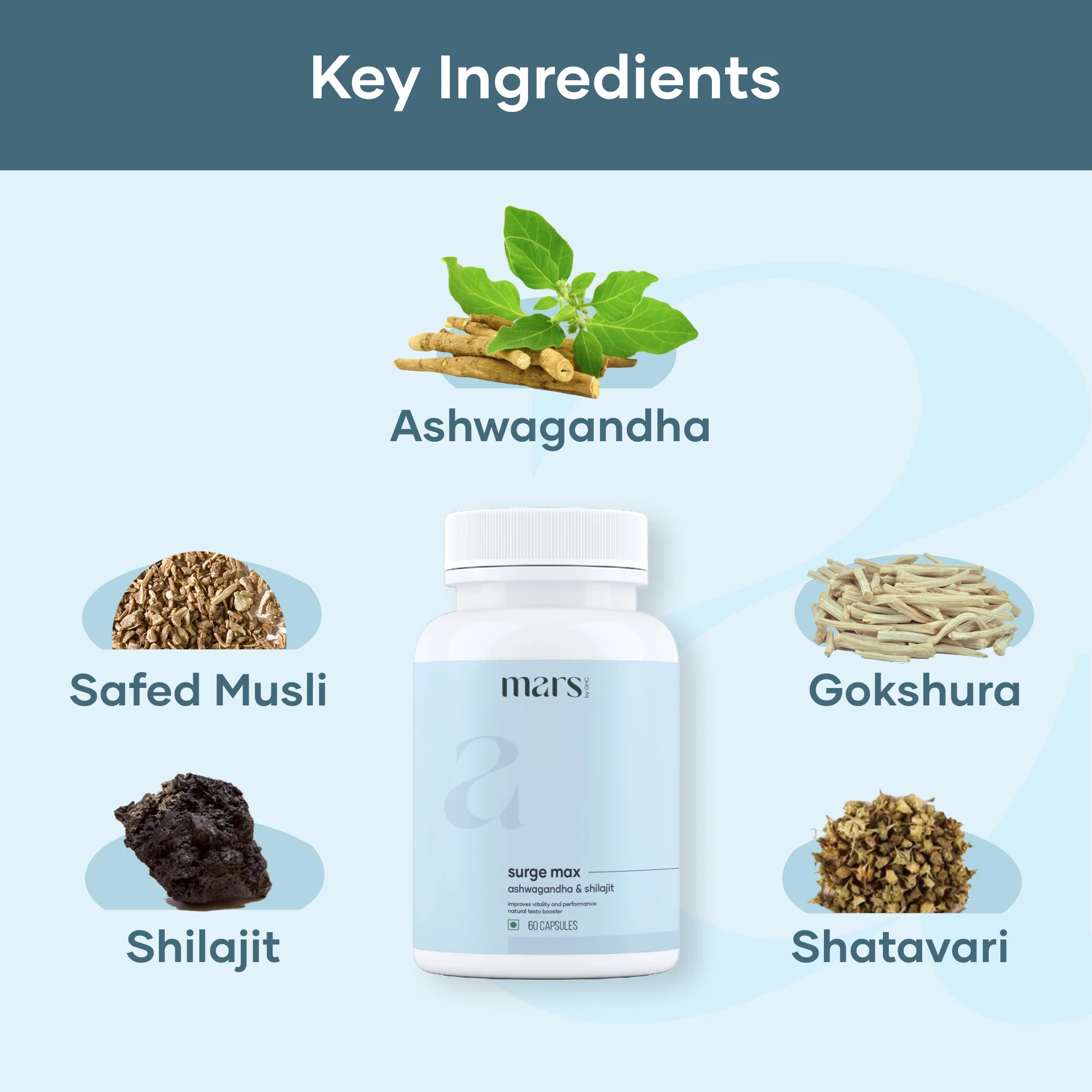 Alpha Box: Powered with Lion's mane, Shilajit Gold & Ashwagandha - Image 4
