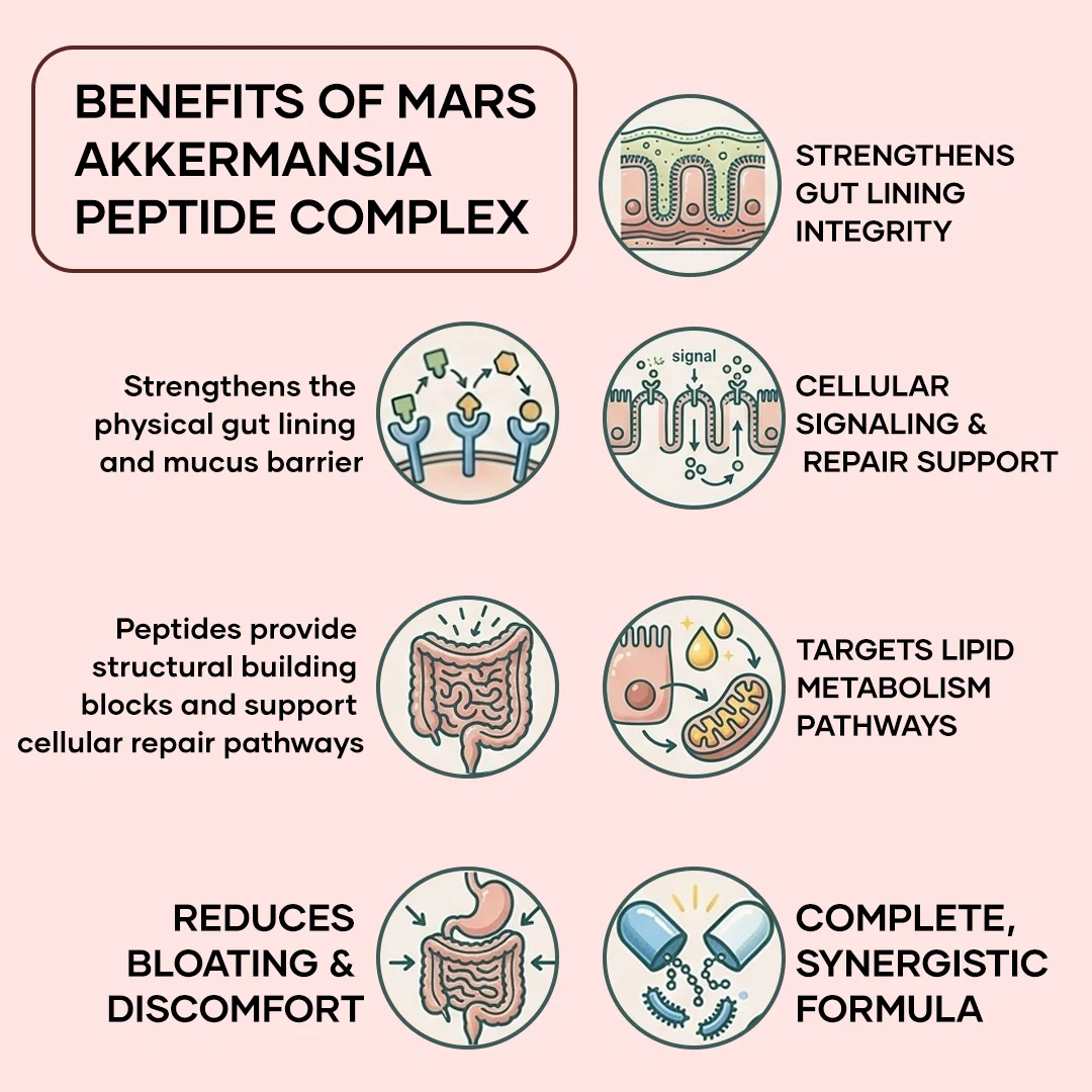Mars Akkermansia Peptide Complex: GLP-1 Support for Gut Balance, Metabolism & Bloat - Image 7