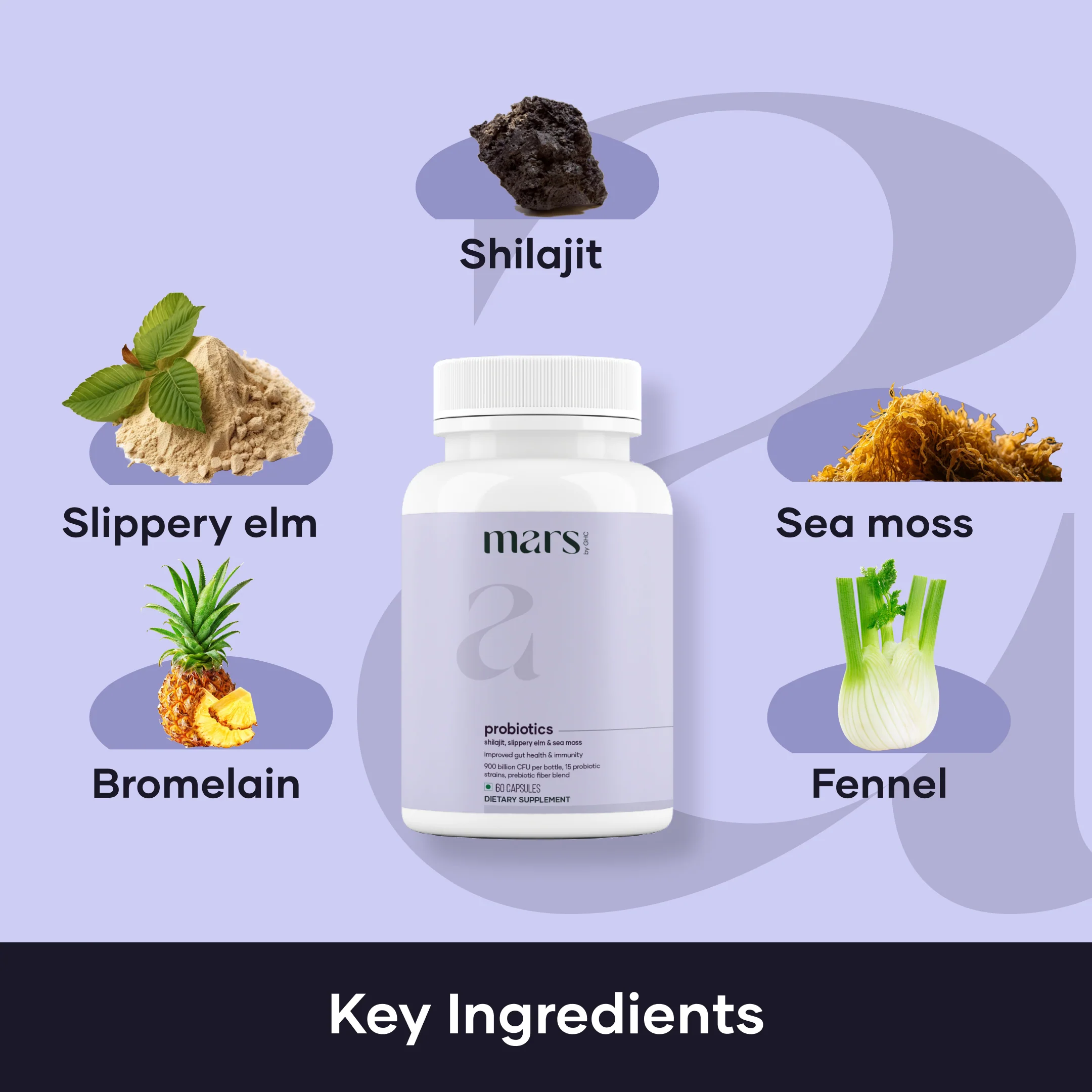 Mars Probiotics for Men: Powered with Shilajit, Sea Moss & Slippery Elm - Image 2