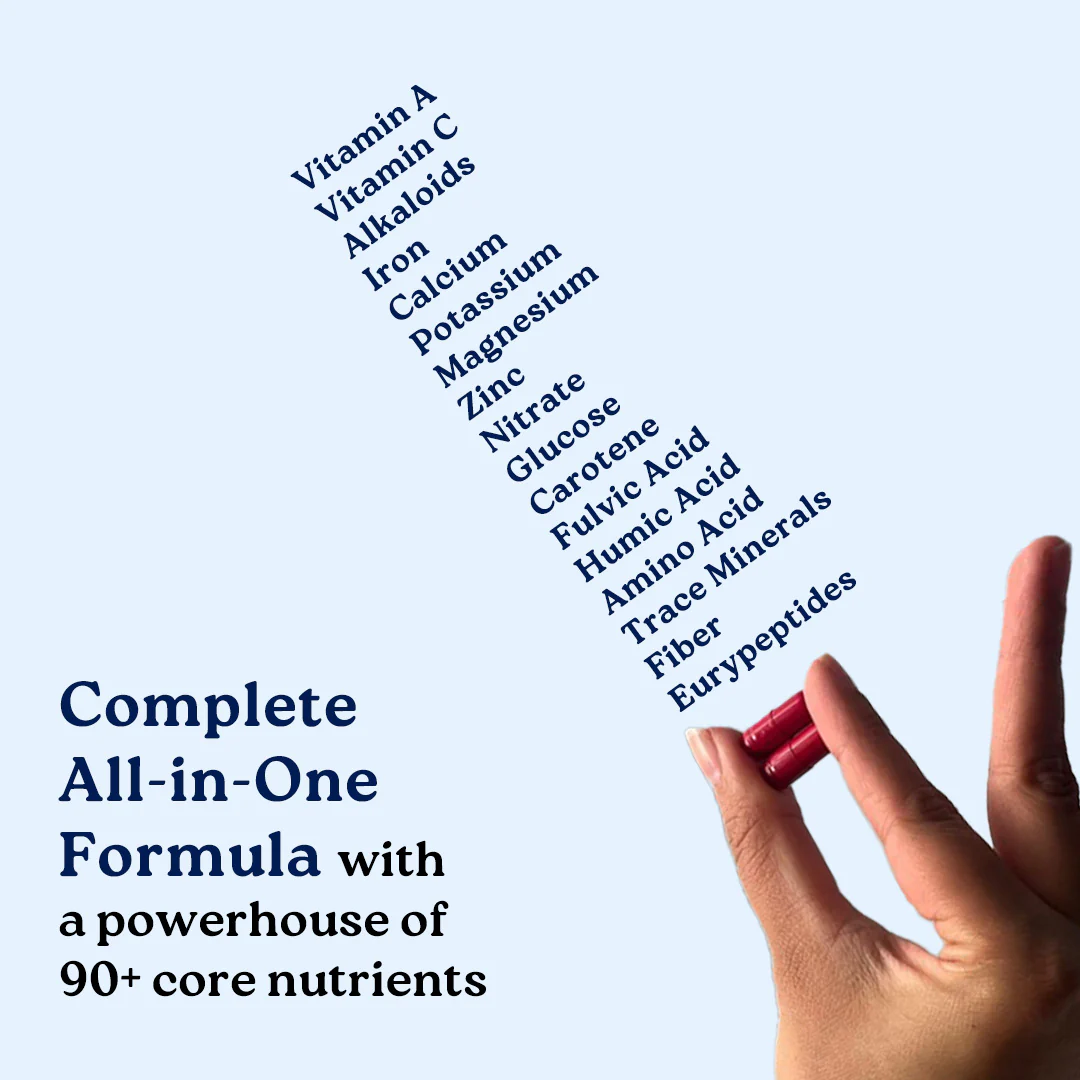 Performance Combo: Powered by Pure Himalayan Shilajit Resin & Natural Ashwagandha Capsules - Image 12