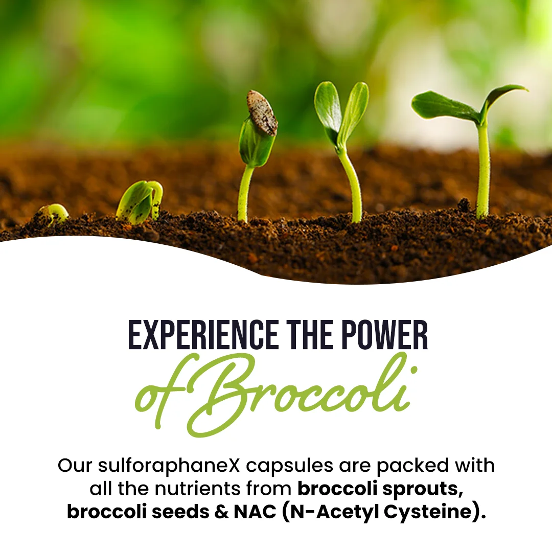 SulforaphaneX : Advanced Detox & Performance Support Formula - Image 3